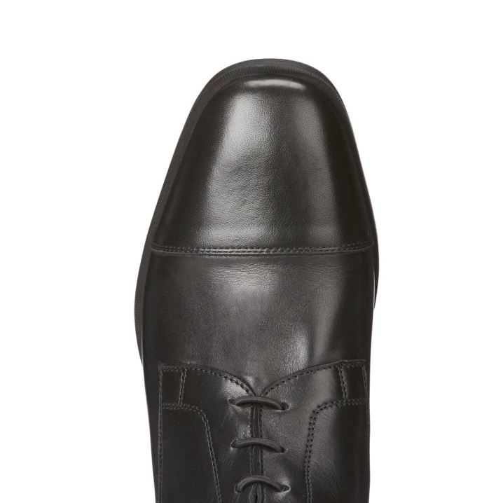 Ariat Divino Tall Riding Boot Črne | CXkpagd9