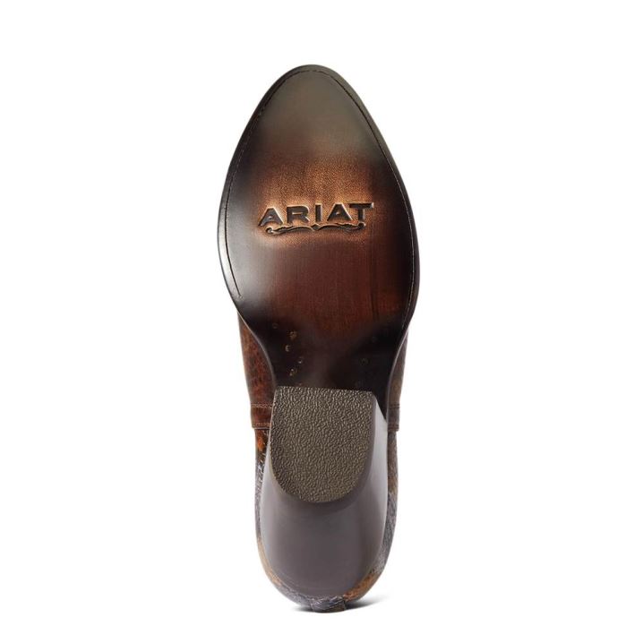 Ariat Dixon R Toe Western Boot Rjave Kača | PIOUlqnw