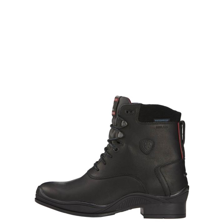 Ariat Extreme Waterproof Insulated Paddock Boot Črne | HKCw4zwC