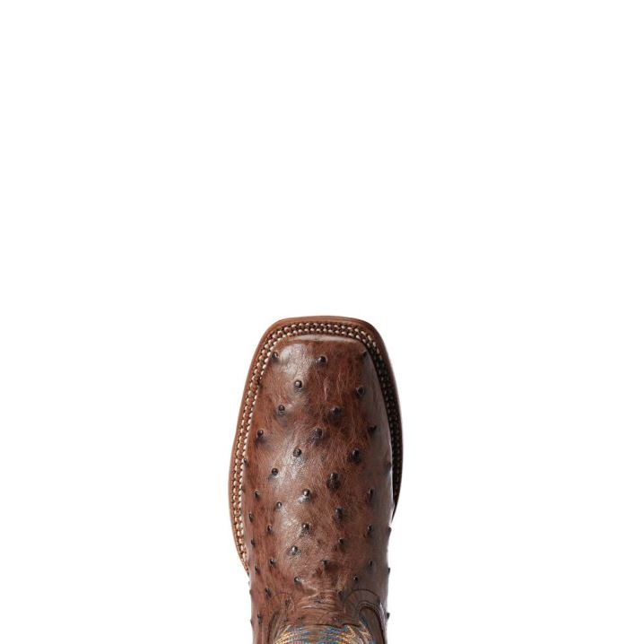 Ariat Gallup Western Boot Mocha Full Quill Ostrich | LCZTMzWq