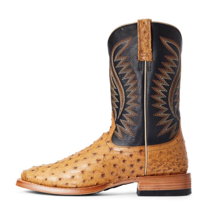 Ariat Gallup Western Boot Rjave | bKPGdnDM