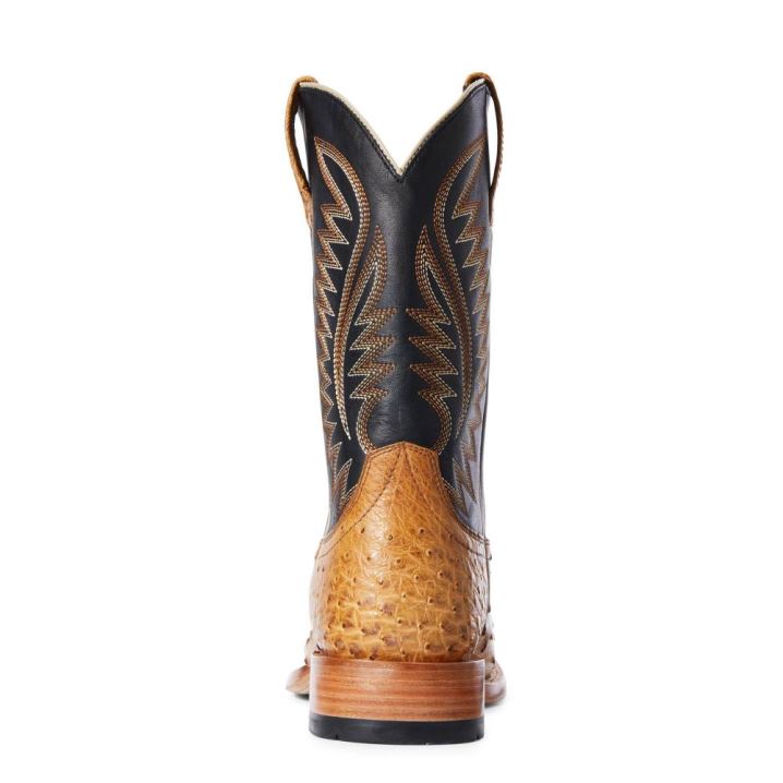 Ariat Gallup Western Boot Rjave | bKPGdnDM