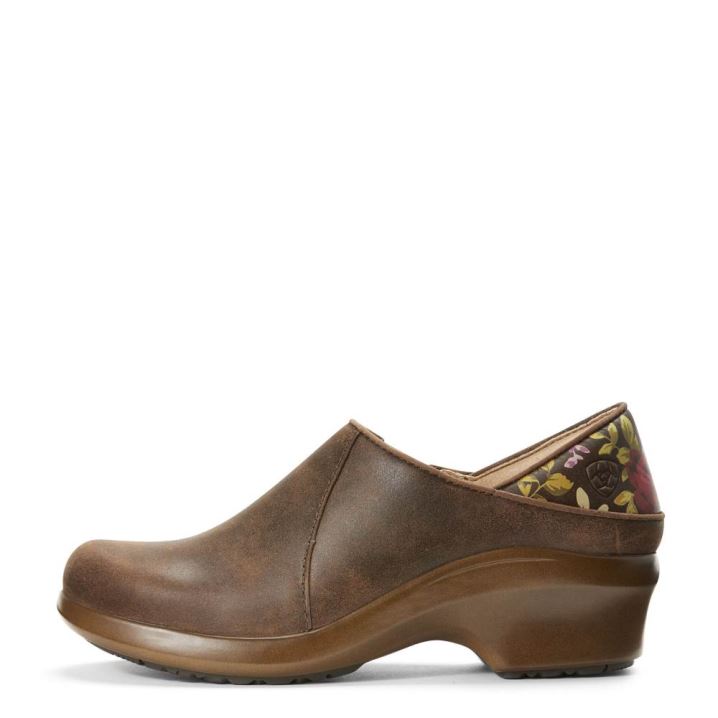 Ariat Hera Expert Clog Rjave | VgSkdjrQ