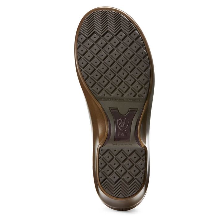 Ariat Hera Expert Clog Rjave | VgSkdjrQ