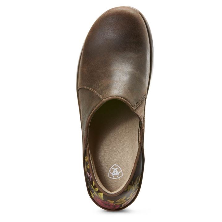 Ariat Hera Expert Clog Rjave | VgSkdjrQ