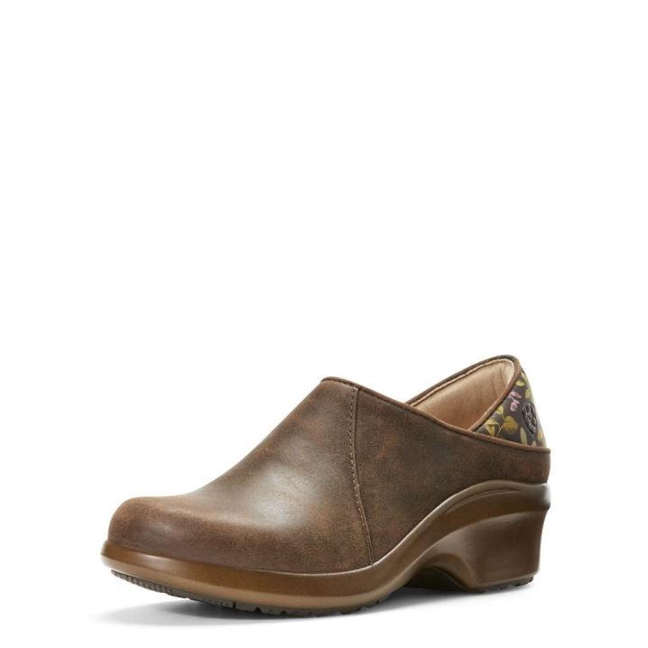 Ariat Hera Expert Clog Rjave | VgSkdjrQ