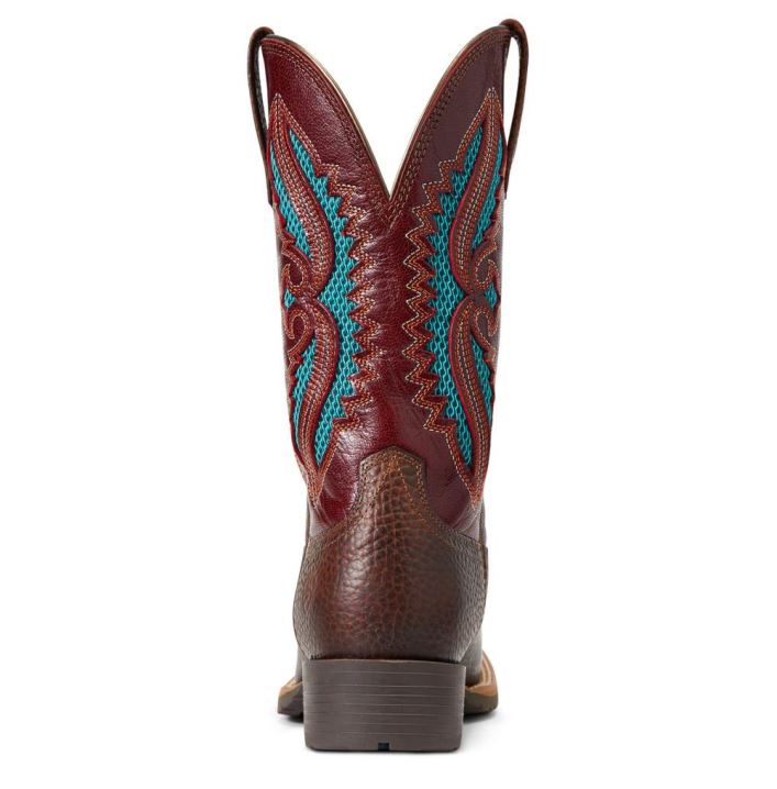 Ariat Hibrid Rancher VentTek 360° Western Boot Rjave | 2qO3T85c