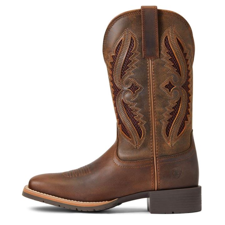 Ariat Hibrid Rancher VentTek 360° Western Boot Rjave | xCasLLeW