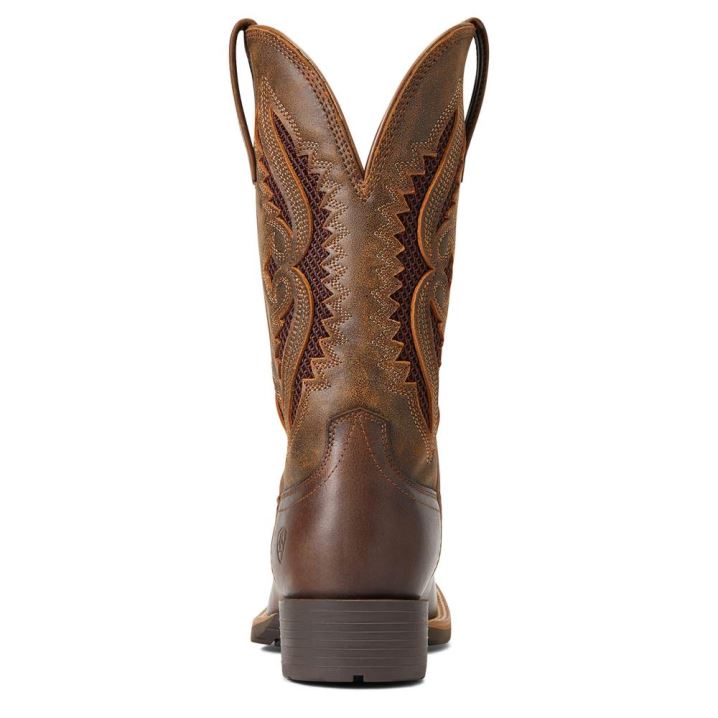 Ariat Hibrid Rancher VentTek 360° Western Boot Rjave | xCasLLeW