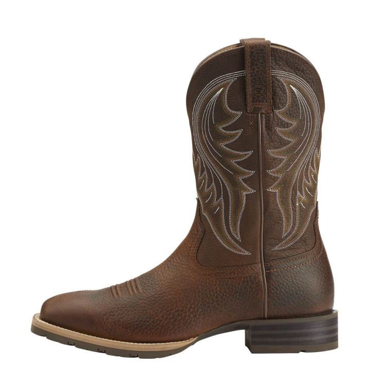 Ariat Hibrid Rancher Western Boot Rjave | J5Dvnakt