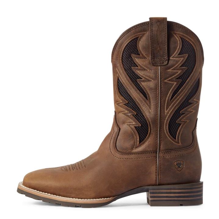 Ariat Hibrid VentTEK Western Boot Rjave | ASKptQAw