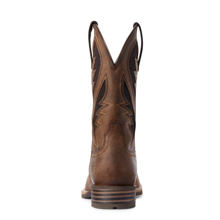 Ariat Hibrid VentTEK Western Boot Rjave | ASKptQAw