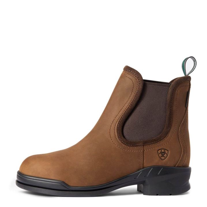 Ariat Keswick Steel Toe Paddock Boot Rjave | Nw3sLaJO