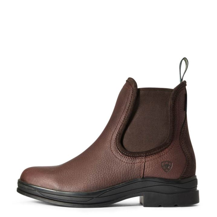 Ariat Keswick Waterproof Boot Temno Rjave | v2jIfyDo