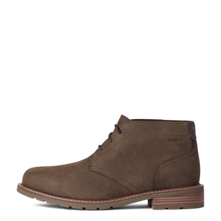 Ariat Kingham Waterproof Boot Java | sFmj6uDx