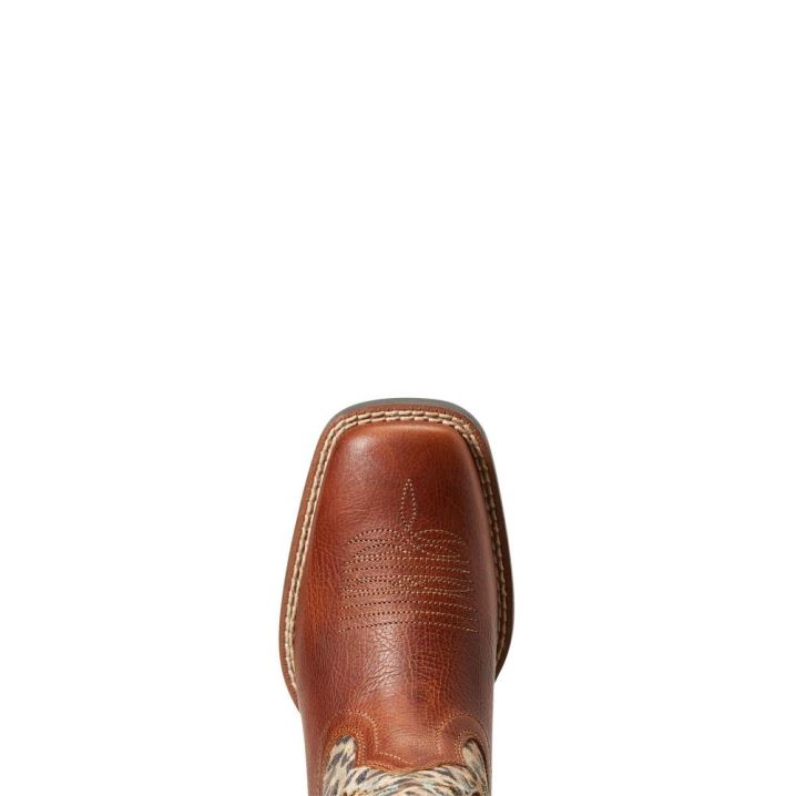 Ariat Koel VentTEK Western Boot Rjave | djGZFYcO