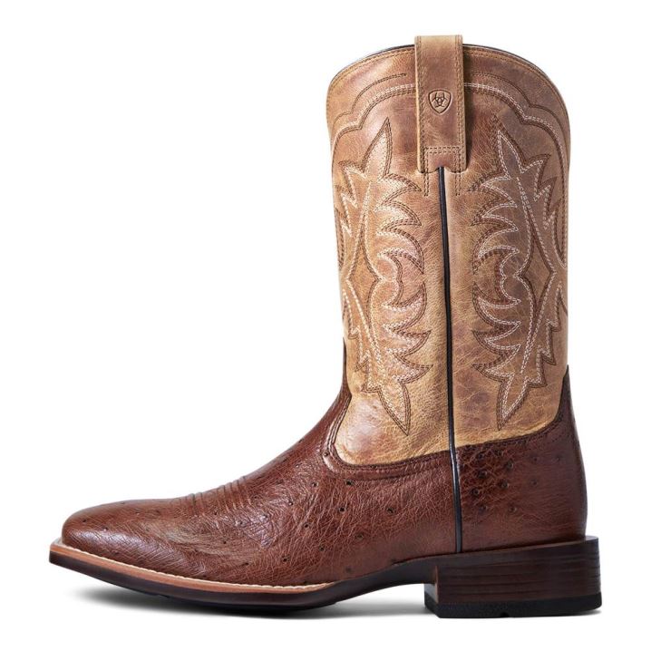 Ariat Night Life Ultra Western Boot Antique Tabac Sq Ostrich | SQQYM2id