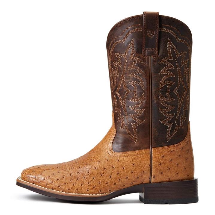 Ariat Night Life Ultra Western Boot Ranger Smooth Quill Ostrich | vUssT1W3