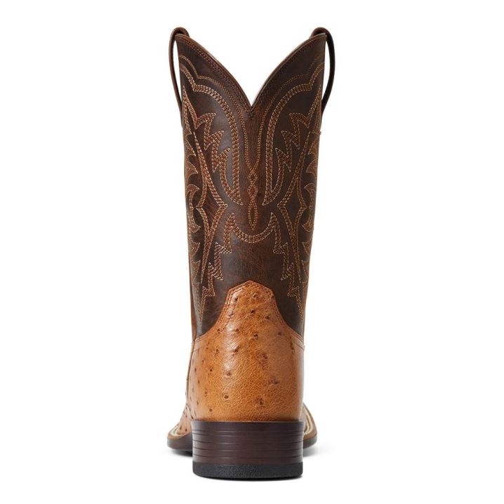 Ariat Night Life Ultra Western Boot Ranger Smooth Quill Ostrich | vUssT1W3