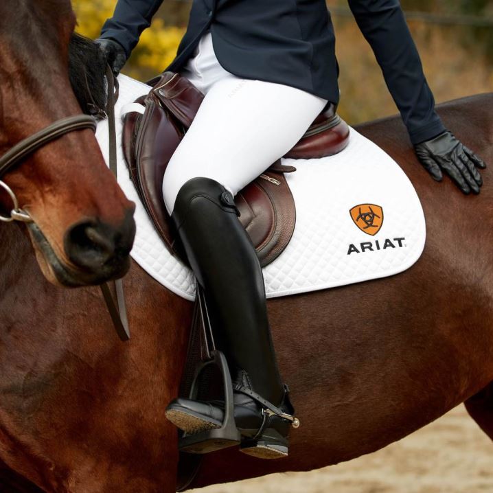 Ariat Nitro Max Tall Riding Boot Črne | 2S1p6CNh