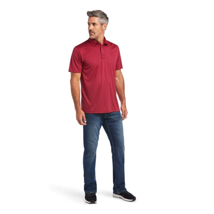 Ariat Oxford Stripe Ftd Polo Rubaiyat | wHvQ2krU