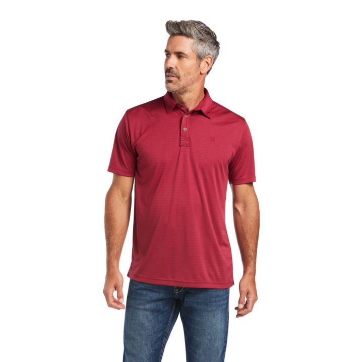 Ariat Oxford Stripe Ftd Polo Rubaiyat | wHvQ2krU