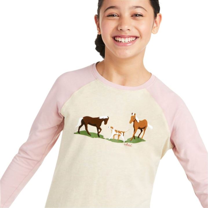 Ariat Pasture Scene T-Shirt Sive Roza | e6skyG9P