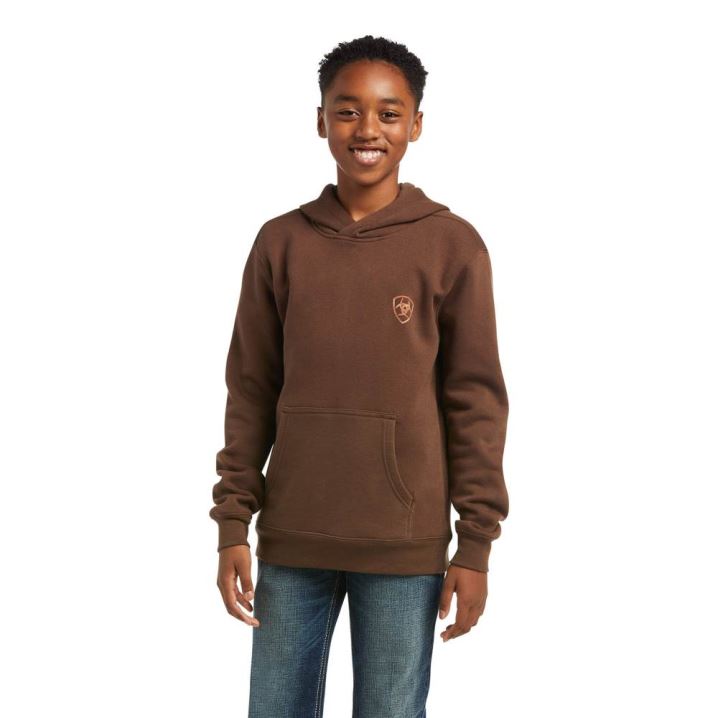 Ariat Patriot 2.0 Sweatshirt Rjave Rjave | E6yQNjr6