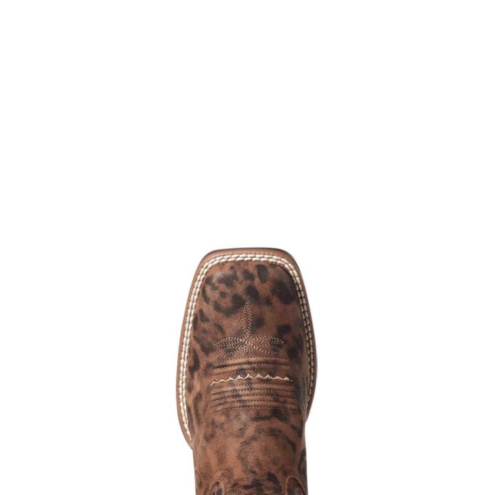 Ariat PrimeTime Western Boot Leopárd | buLPJHAt