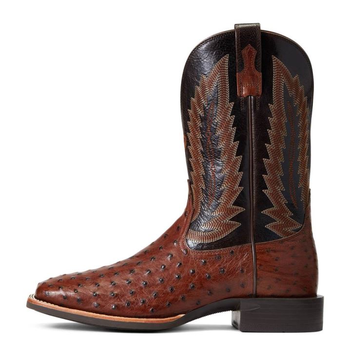 Ariat Quantum Primo Western Boot Antique Tabac Fq Ostrich | 2XZtwb5A