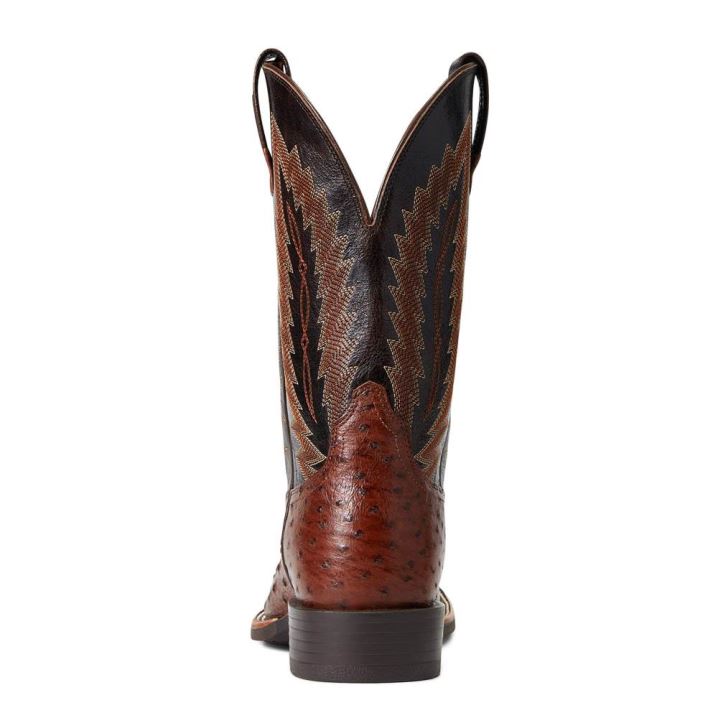 Ariat Quantum Primo Western Boot Antique Tabac Fq Ostrich | 2XZtwb5A