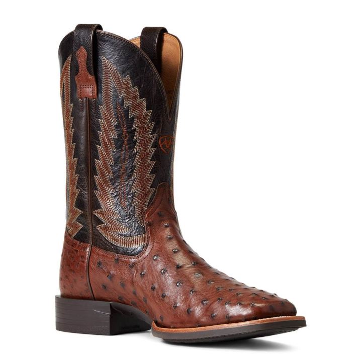 Ariat Quantum Primo Western Boot Antique Tabac Fq Ostrich | 2XZtwb5A