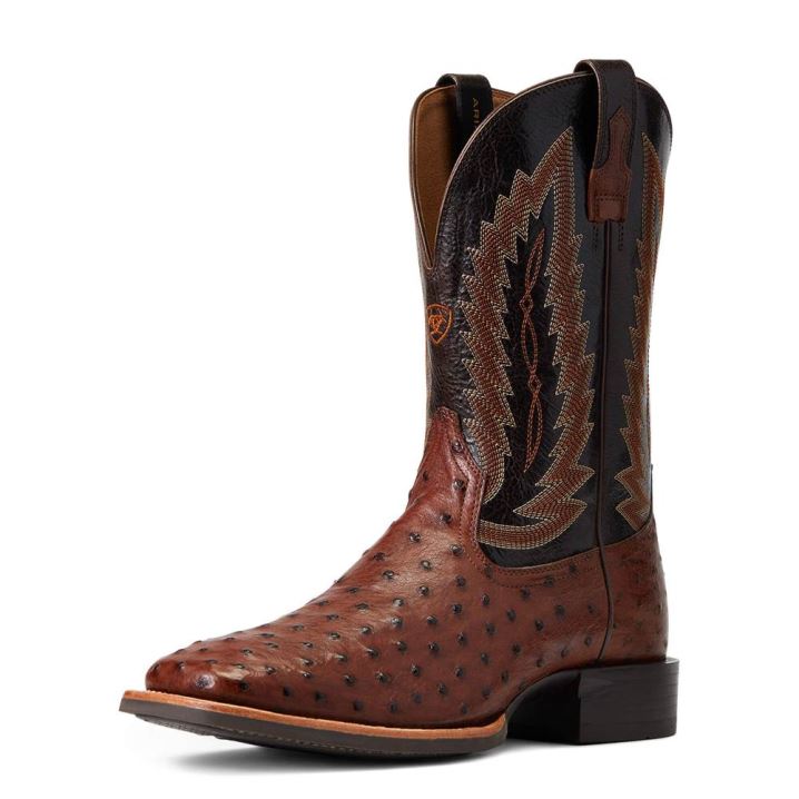 Ariat Quantum Primo Western Boot Antique Tabac Fq Ostrich | 2XZtwb5A