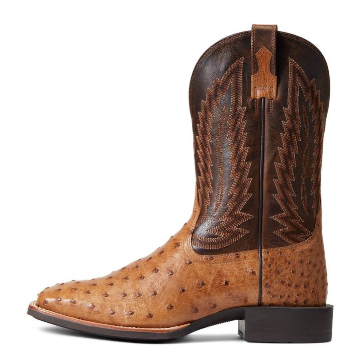 Ariat Quantum Primo Western Boot Ranger Full Quill Ostrich | Lsbjdgd6