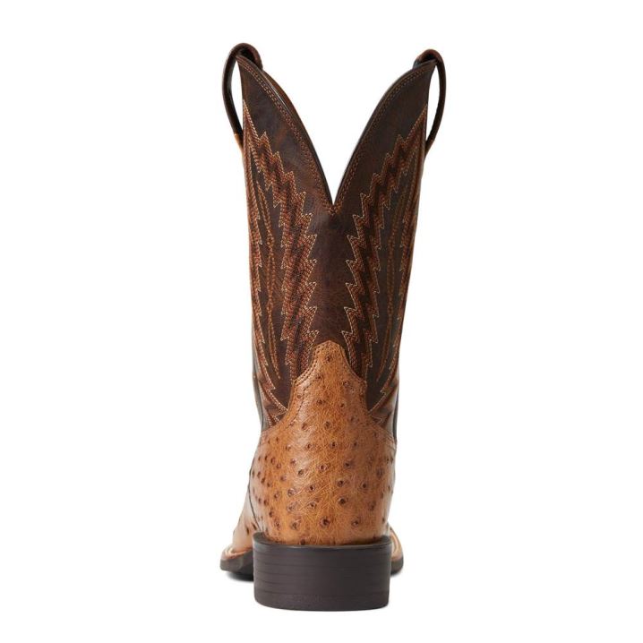 Ariat Quantum Primo Western Boot Ranger Full Quill Ostrich | Lsbjdgd6