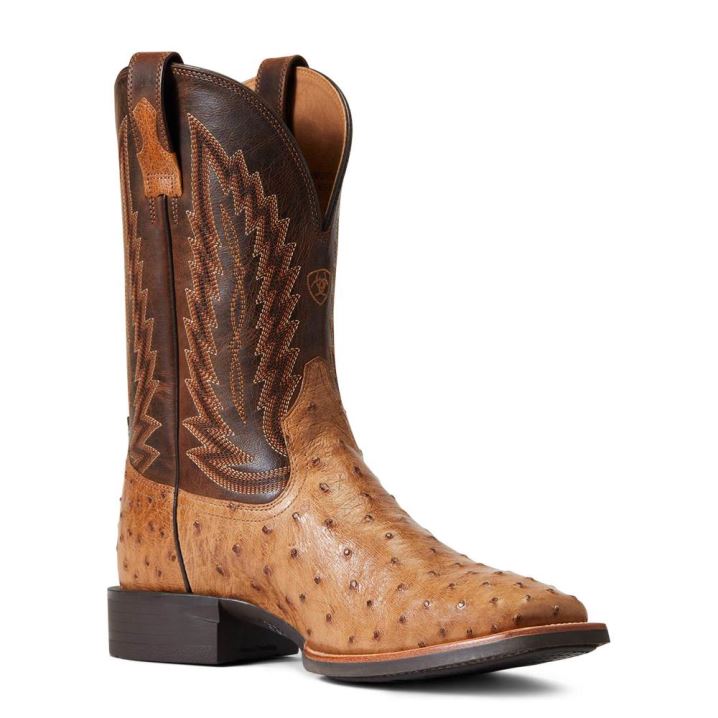 Ariat Quantum Primo Western Boot Ranger Full Quill Ostrich | Lsbjdgd6