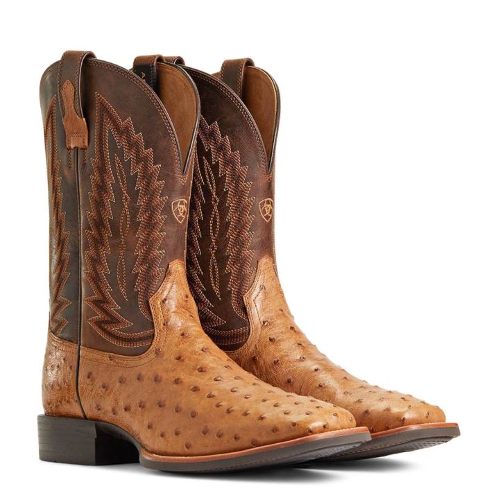 Ariat Quantum Primo Western Boot Ranger Full Quill Ostrich | Lsbjdgd6