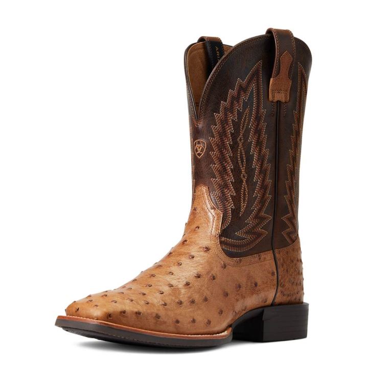 Ariat Quantum Primo Western Boot Ranger Full Quill Ostrich | Lsbjdgd6