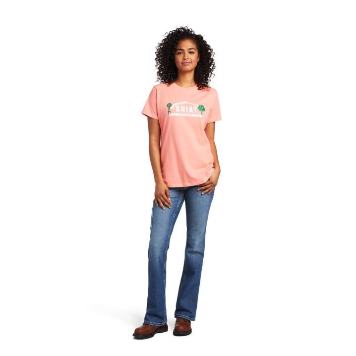 Ariat Rebar Cotton Strong Farm Grafične T-Shirt Summer Melon | KYMuDn4k