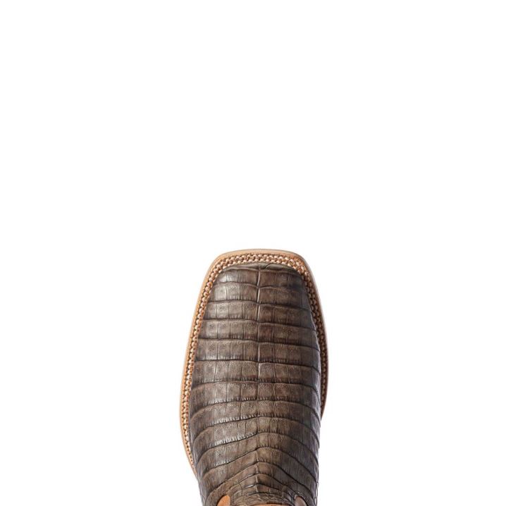 Ariat Relentless Winner's Circle Western Boot Čokolade | SwIkaSrV