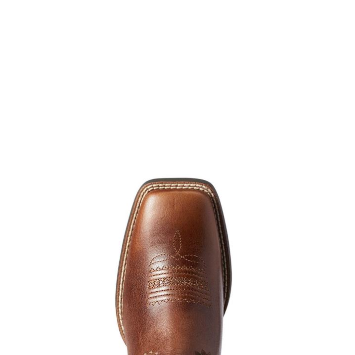 Ariat Round Up Skyler Western Boot Rjave | TolmL19K