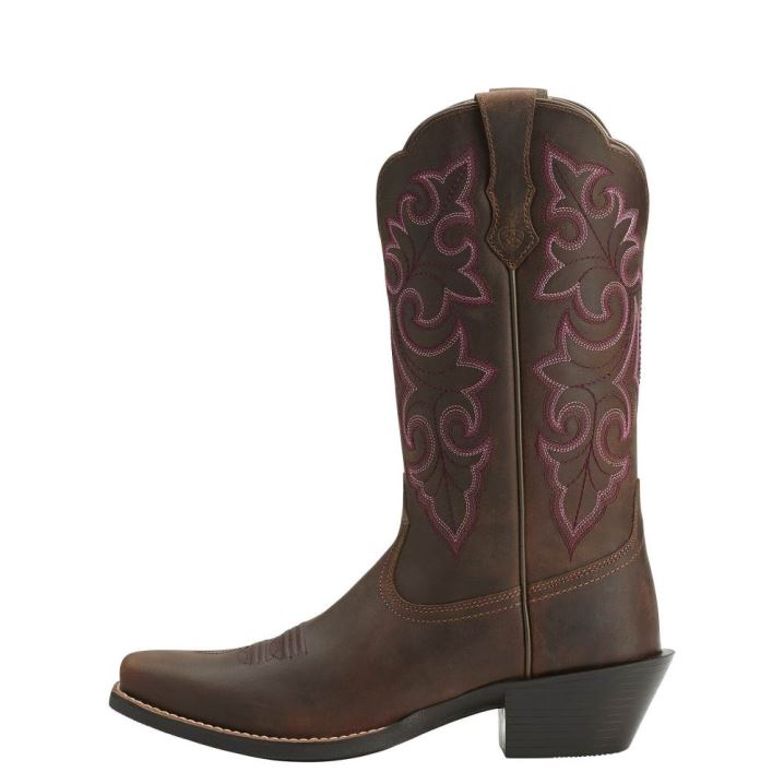 Ariat Round Up Square Toe Western Boot Rjave | 4Hh8CBlp