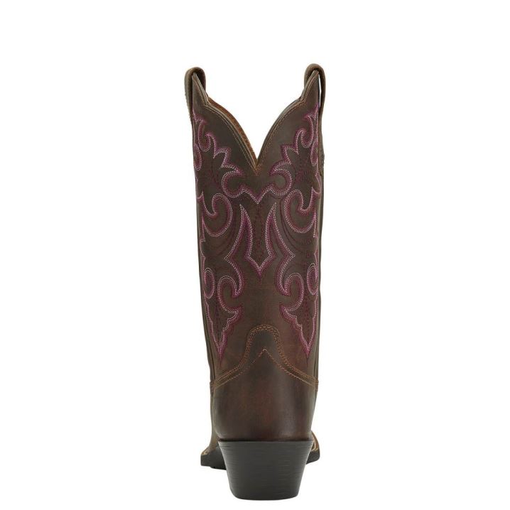 Ariat Round Up Square Toe Western Boot Rjave | 4Hh8CBlp