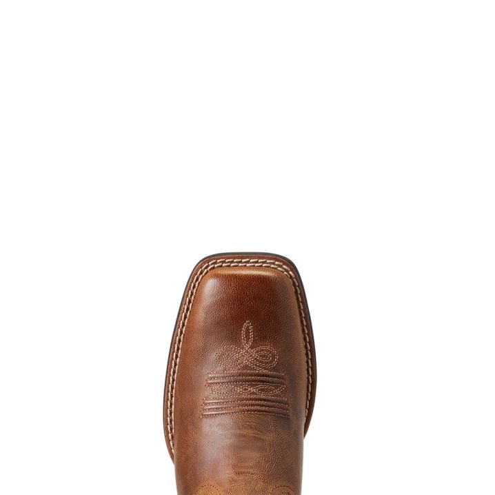 Ariat Round Up Wide Square Toe Western Boot Rjave | WahgI3YU