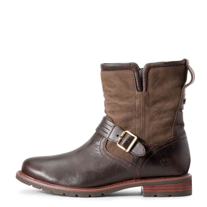 Ariat Savannah Waterproof Boot Čokolade | swP6WoVT