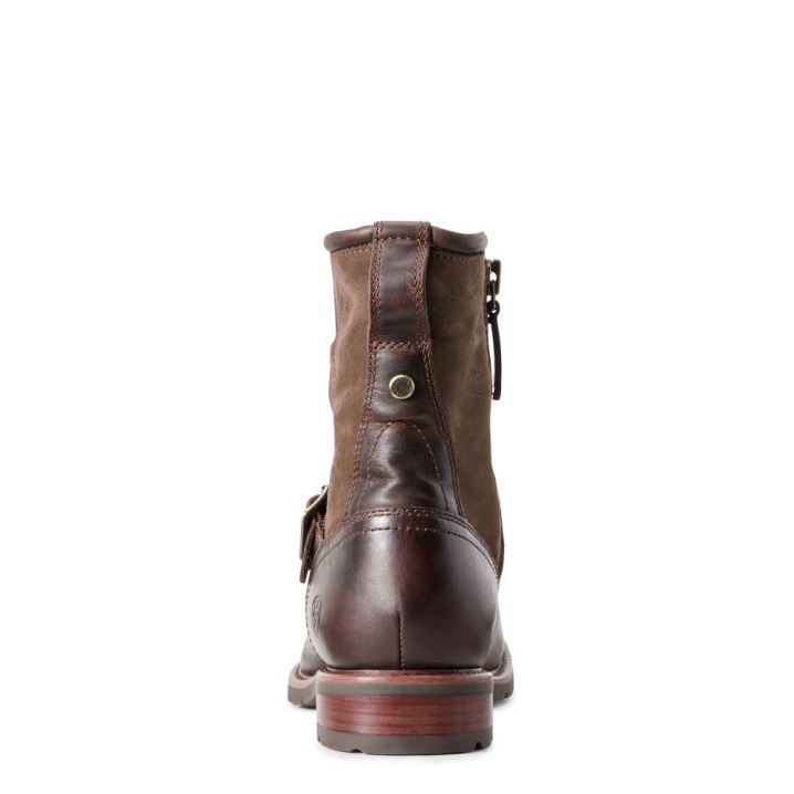 Ariat Savannah Waterproof Boot Čokolade | swP6WoVT