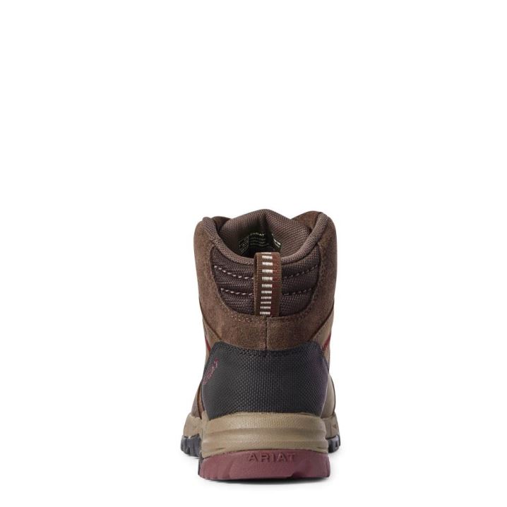 Ariat Skyline Mid Waterproof Temno Rjave | u30B5PWc