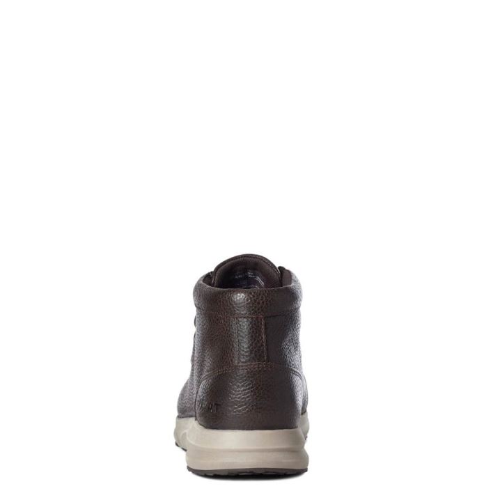 Ariat Spitfire Rjave | I2peSFJj