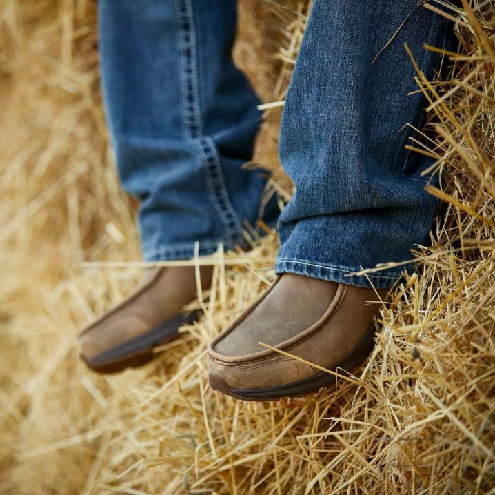 Ariat Spitfire Rjave | NkXvNECy