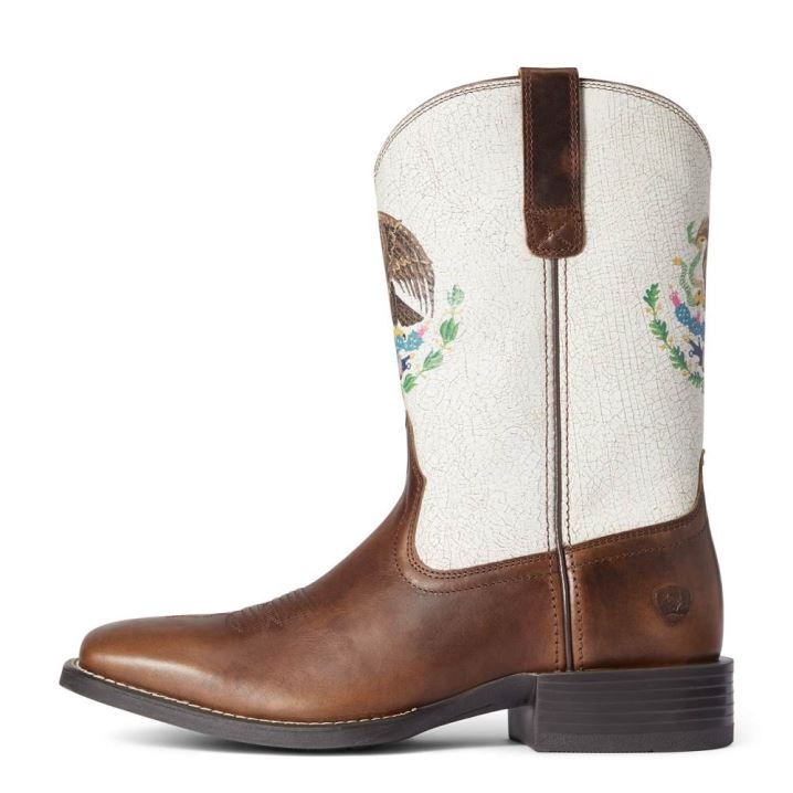 Ariat Sport Orgullo Mexicano Western Boot Čokolade | ZaD9luR7